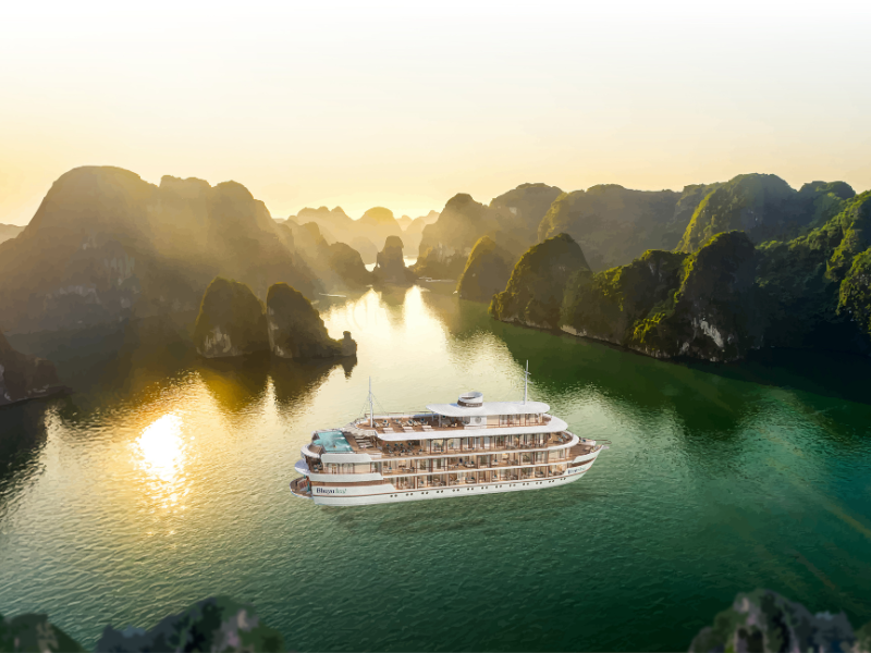 Cruise Image
